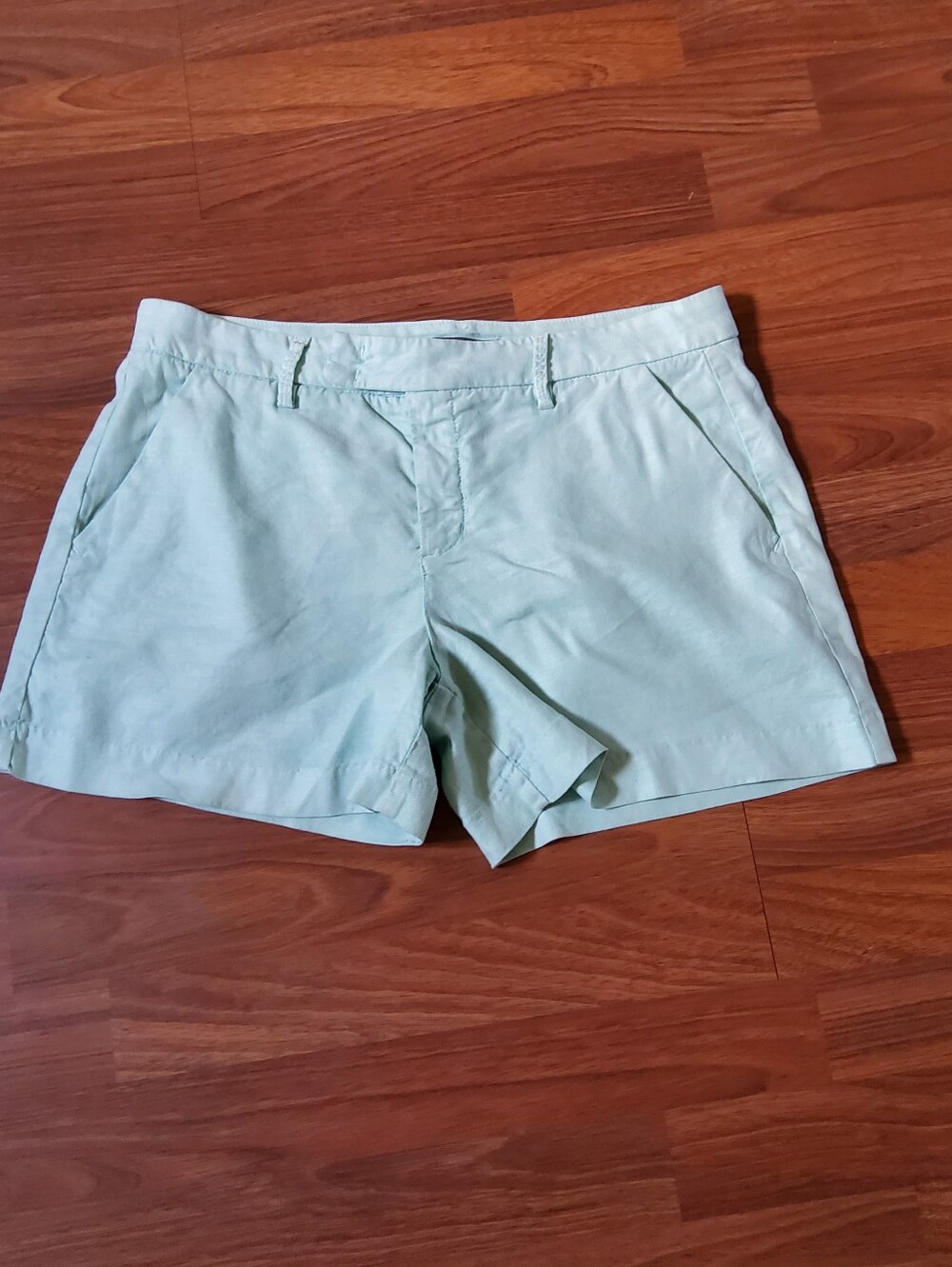 Level 99 Blue Linen Tencel Blend Shorts Size 29 Like New